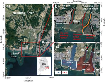 Relative contribution of the presence of an estuarine dam and land reclamation to sediment dynamics of the Nakdong Estuary